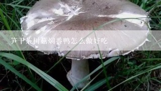 笋干茶树菇焖番鸭怎么做好吃