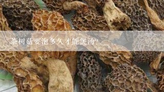 茶树菇要泡多久才能煲汤？