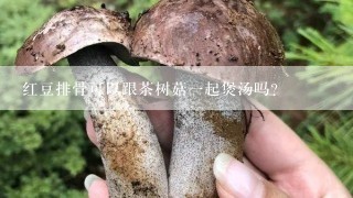 红豆排骨可以跟茶树菇一起煲汤吗？