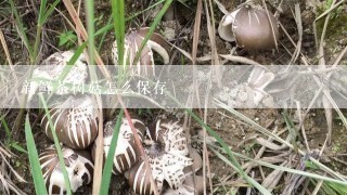 新鲜茶树菇怎么保存