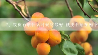 铁皮石斛什么时候吃最好 铁皮石斛在如下时间点吃比