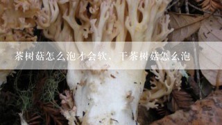 茶树菇怎么泡才会软，干茶树菇怎么泡