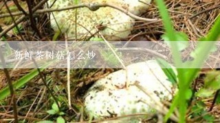 新鲜茶树菇怎么炒