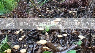 动物、植物、菌类都有哪些？请分别列出20种。