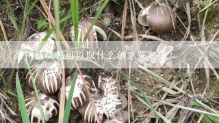 茶树菇烧鸭可以取什么创意菜名啊？