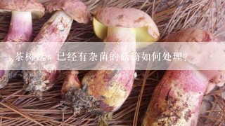 茶树菇，已经有杂菌的菇筒如何处理？