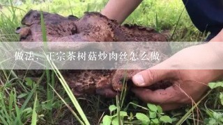 做法，正宗茶树菇炒肉丝怎么做