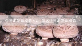 快速泡发茶树菇方法 怎么快速泡发茶树菇