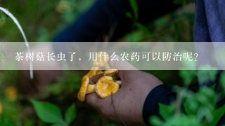 茶树菇长虫了，用什么农药可以防治呢？