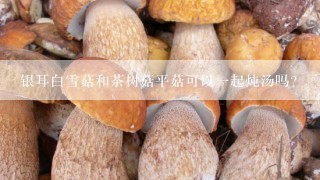 银耳白雪菇和茶树菇平菇可以一起炖汤吗？