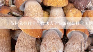 干茶树菇炖排骨的做法大全，茶树菇排骨汤的做法