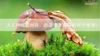 人工种植茶树菇，都需要掌握哪些科学要领？