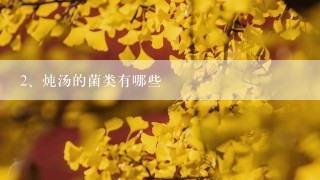 炖汤的菌类有哪些