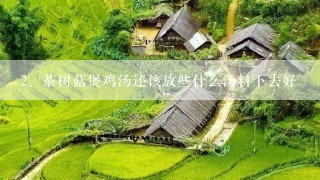 茶树菇煲鸡汤还该放些什么汤料下去好