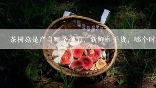 茶树菇是产自哪个季节，新鲜和干货，哪个时期购买最便宜？