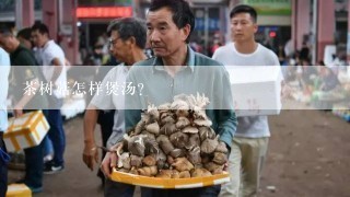 茶树菇怎样煲汤？