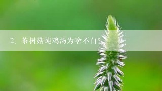 茶树菇炖鸡汤为啥不白？