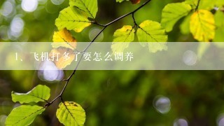 飞机打多了要怎么调养