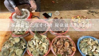 干茶树菇怎么泡才不硬 秘诀就是加点白糖？