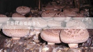 干茶树菇要泡多久