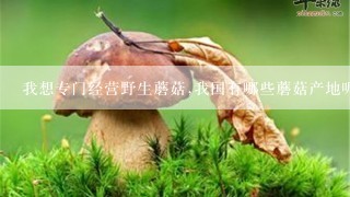 我想专门经营野生蘑菇,我国有哪些蘑菇产地呢?