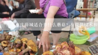 山东枣庄薛城适合养什么蘑菇? 有提供技术和菌种的吗?