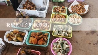 花椒树什么时候修剪？