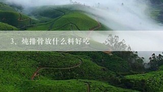 炖排骨放什么料好吃