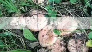 干的茶树菇怎么操作后炒菜用