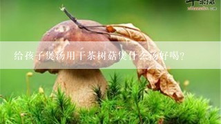 给孩子煲汤用干茶树菇煲什么汤好喝？