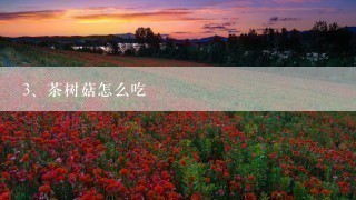 茶树菇怎么吃