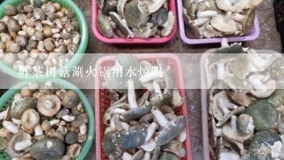 鲜茶树菇涮火锅用水焯吗