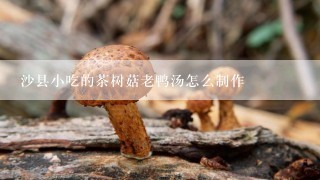 沙县小吃的茶树菇老鸭汤怎么制作