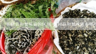 茶树菇和蟹味菇的区别 茶树菇和蟹味菇有哪些不同