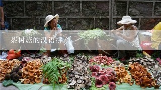 茶树菇的汉语拼音