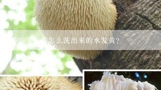买的茶树菇怎么洗出来的水发黄？