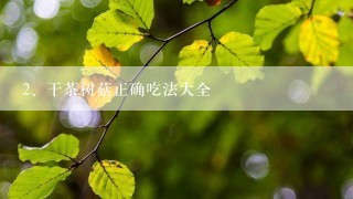 干茶树菇正确吃法大全