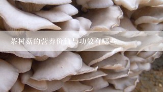茶树菇的营养价值与功效有哪些