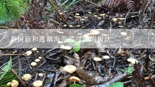 茶树菇和莲藕海带黄豆汤的做法