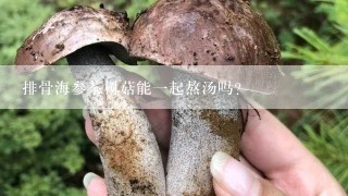 排骨海参茶树菇能一起熬汤吗?