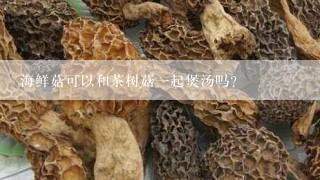 海鲜菇可以和茶树菇一起煲汤吗？