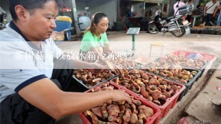 茶树菇可以放冰箱冷冻吗？