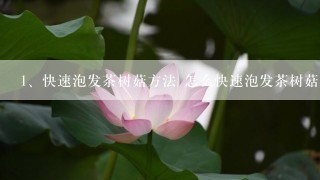 快速泡发茶树菇方法 怎么快速泡发茶树菇