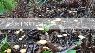 怎么做干锅茶树菇？