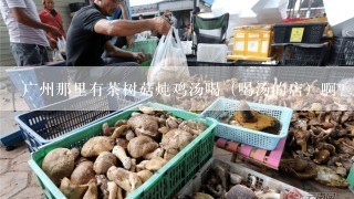 广州那里有茶树菇炖鸡汤喝（喝汤的店）啊？