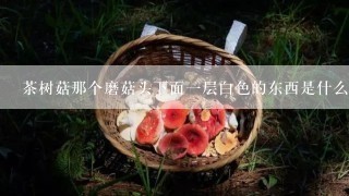 茶树菇那个磨菇头下面一层白色的东西是什么?