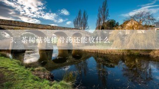 茶树菇炖排骨汤还能放什么