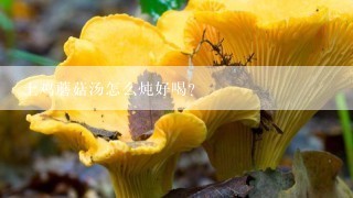 土鸡蘑菇汤怎么炖好喝？