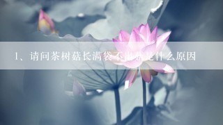 请问茶树菇长满袋不出菇是什么原因