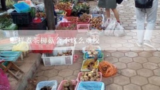 怎样煮茶树菇会不这么难咬